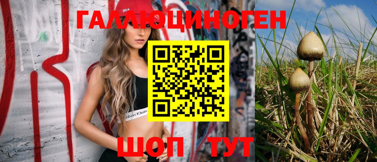 Новокуйбышевск  Галлюциногенные грибы Magic Shrooms  Вход с VPN 